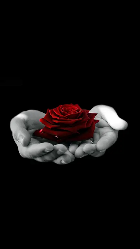 浪漫你是我手中的玫瑰H5背景