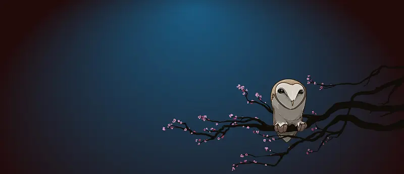 黑夜猫头鹰背景图