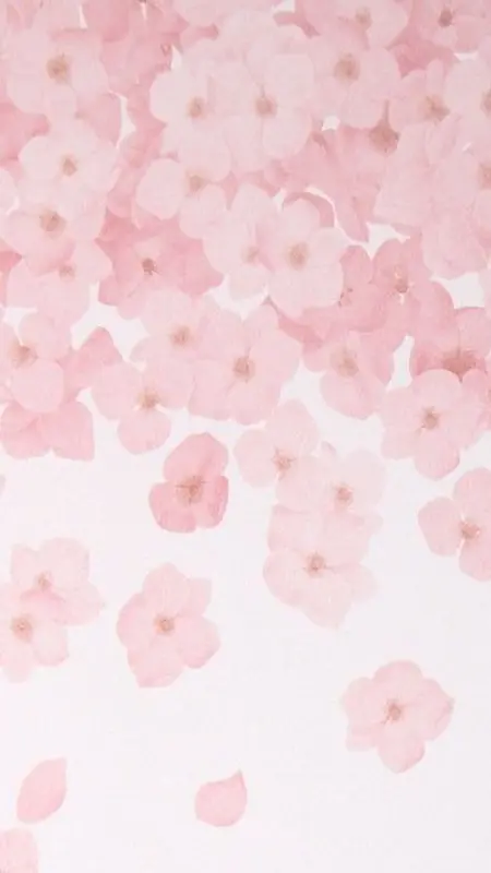 粉红色花瓣H5背景素材