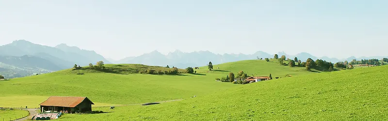山坡绿色草原