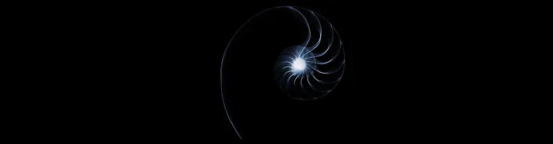 设计感蜗牛壳高光线条旋涡背景