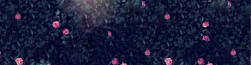  唯美图片 花墙  