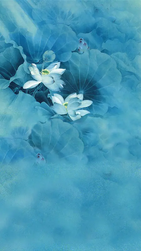 蓝色花卉H5背景