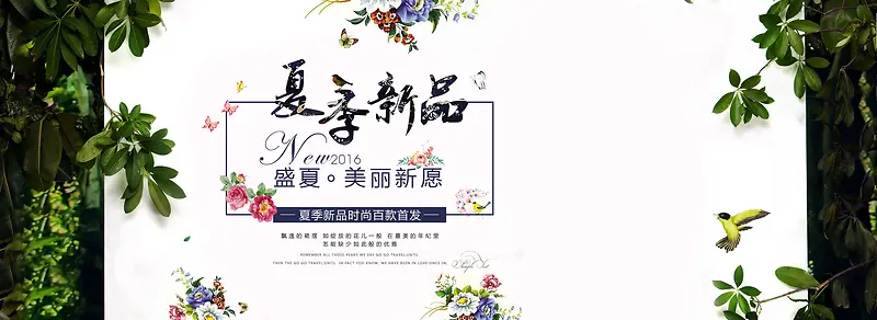 夏季新品banner