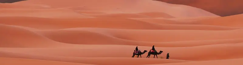 沙漠之旅