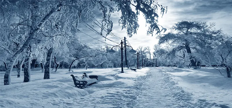 雪后的街道背景图
