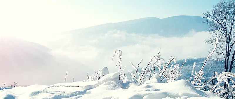 唯美雪景背景