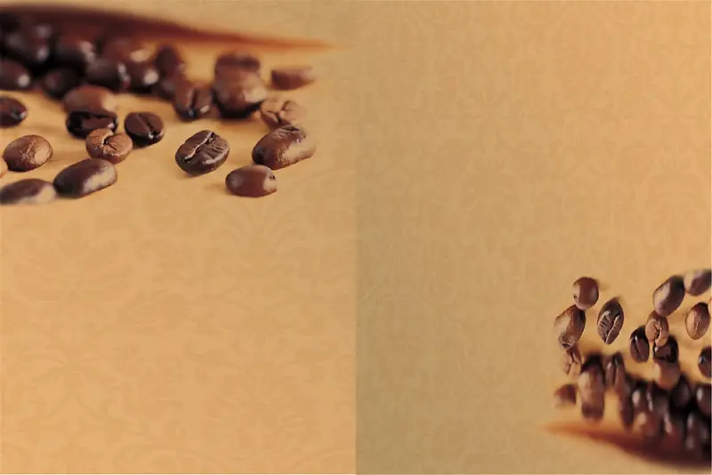 咖啡豆对称图