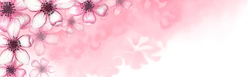 粉色水彩梅花背景
