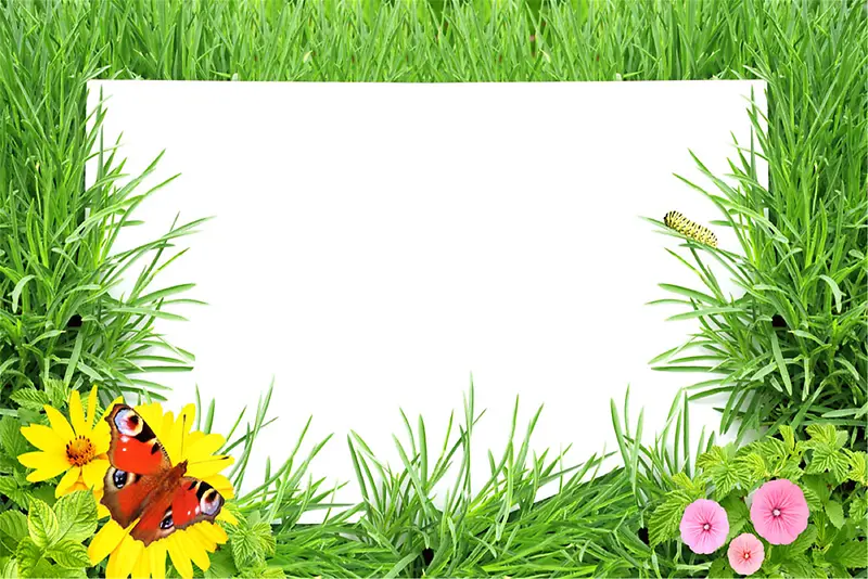 绿草花朵背景图