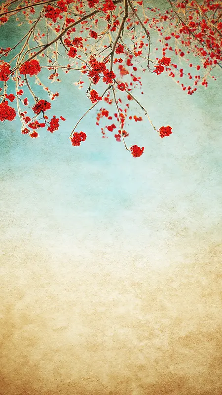 中国风纸质花朵浪漫背景素材