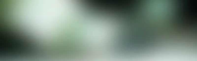 梦想天空城市