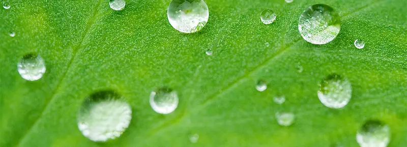 水珠