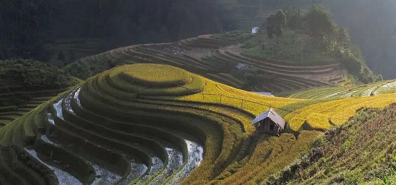 梯田背景图