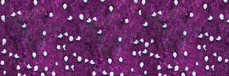 紫色花海质感底纹