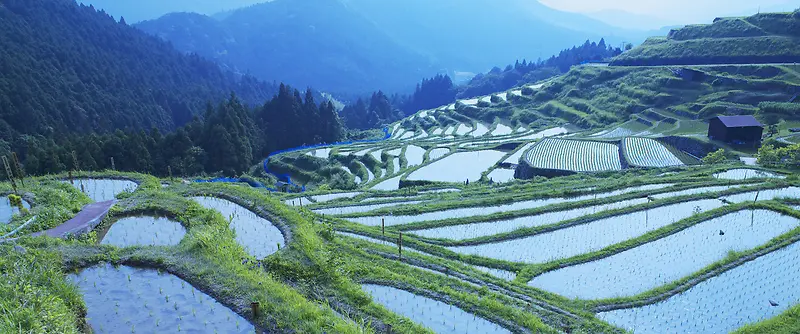 背景