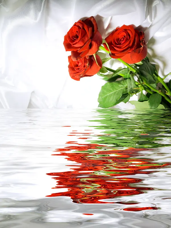 水面红玫瑰浪漫唯美海报背景