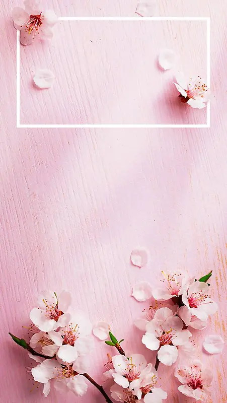 粉色浪漫鲜花H5背景