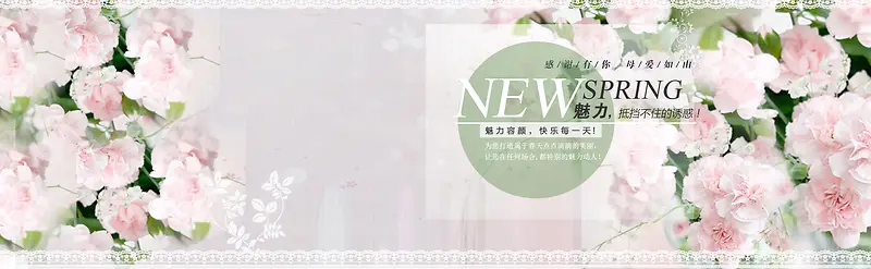 淡粉蕾丝春季女装banner
