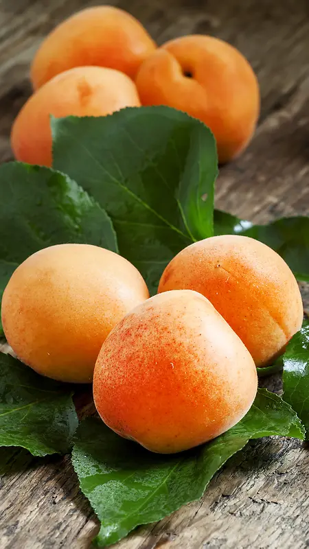 杏水果美食背景