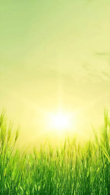 清新阳光风景H5背景