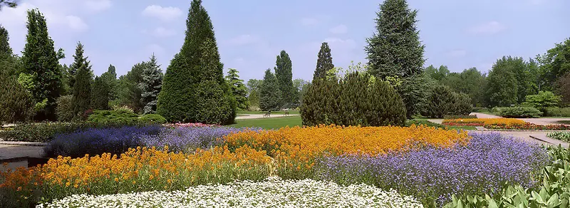 花草