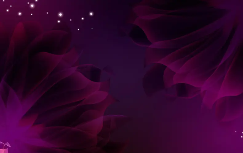 紫色 花朵
