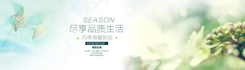 淘宝清新服装绿色背景banner