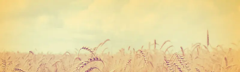 中秋节banner创意设计