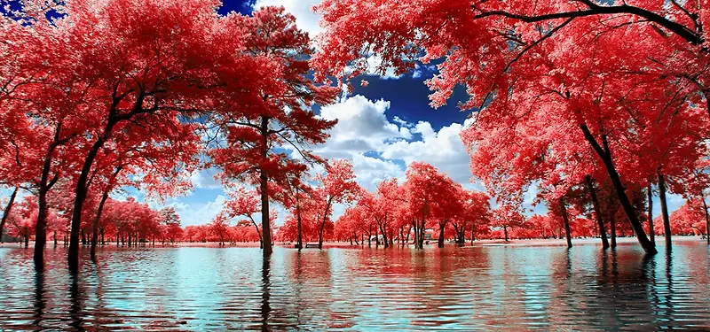 摄影背景