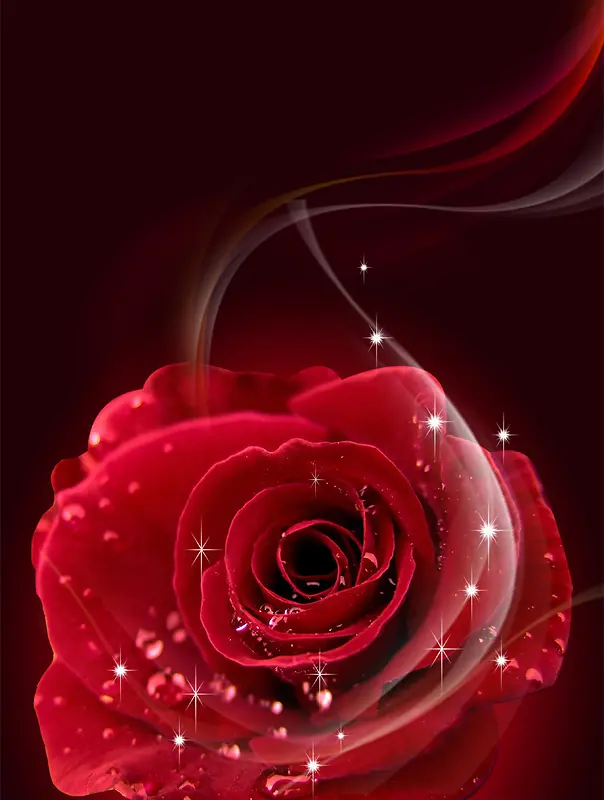 红玫瑰光效海报背景