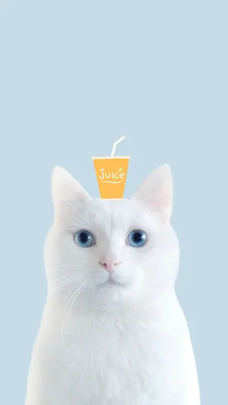 小猫头上的果汁H5背景素材