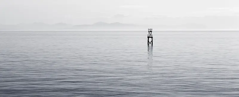 海景背景