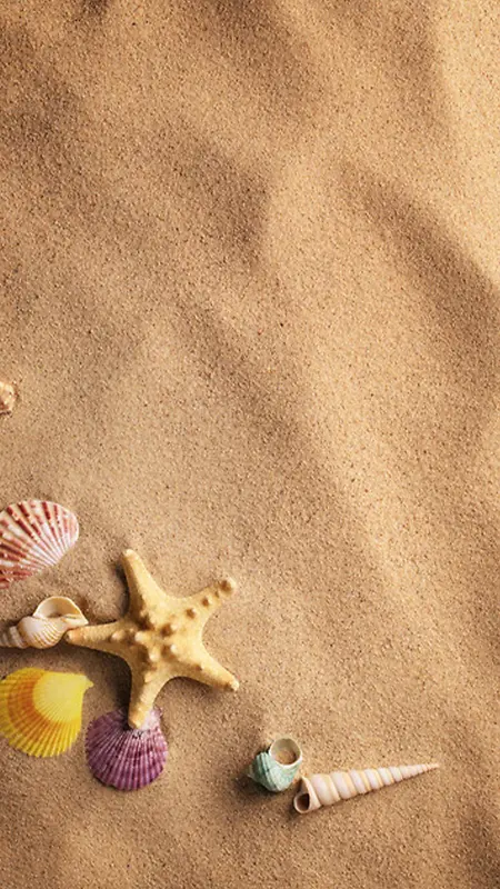 沙滩沙子海星贝壳H5背景图