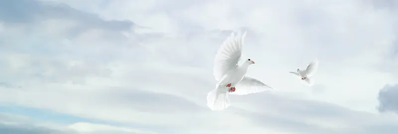 企业文化背景