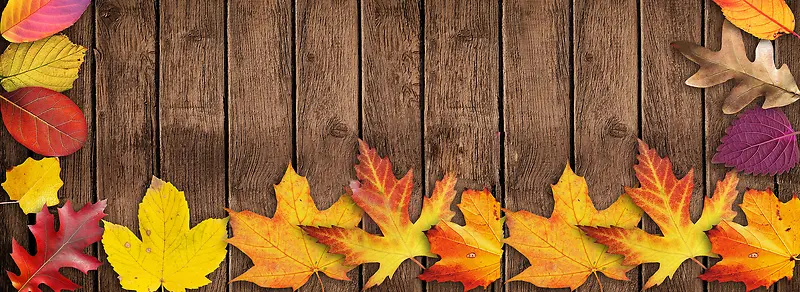 秋季木地板上落叶