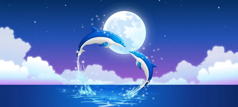 海豚爱情背景banner