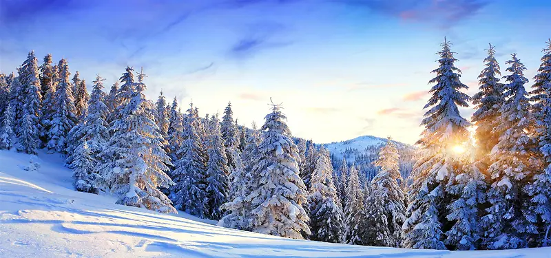 冬季自然风景背景
