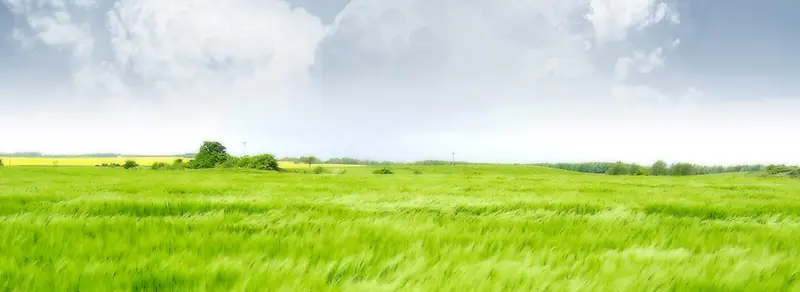 风景背景