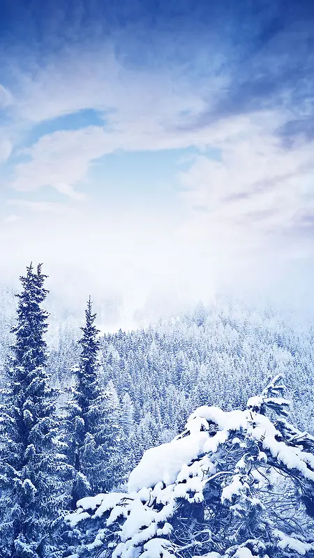 冬天森林雪景背景