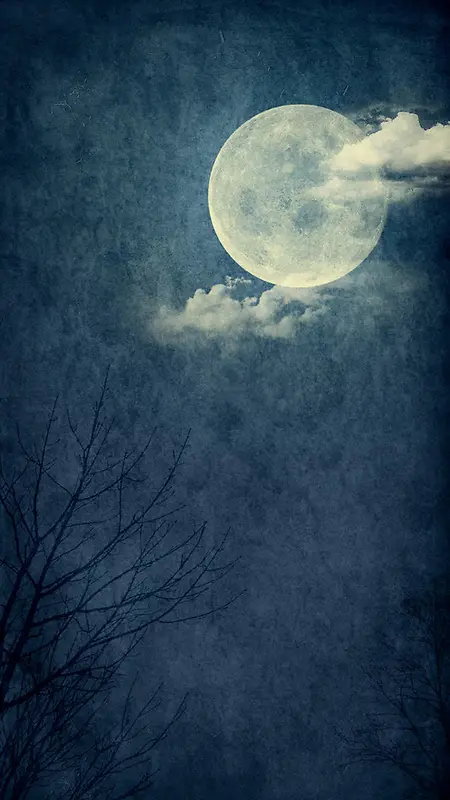 月亮树木夜色背景