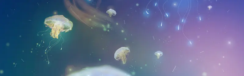 摄影海底水母背景