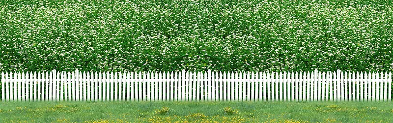绿色植物海报背景
