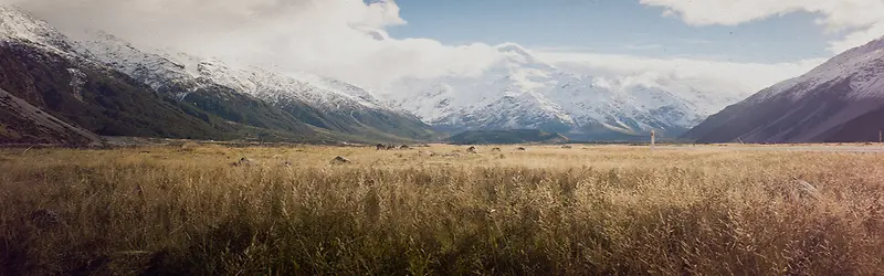 风景