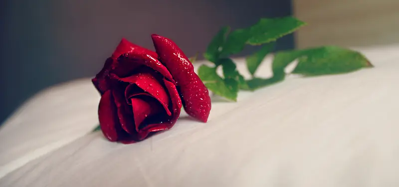 桌子上的玫瑰