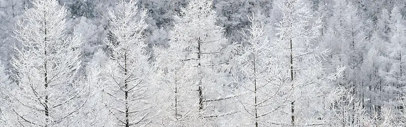 雪景背景图