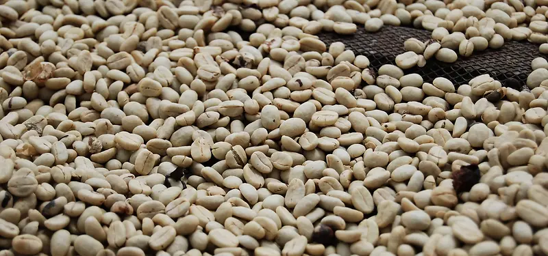 焙炒的咖啡豆