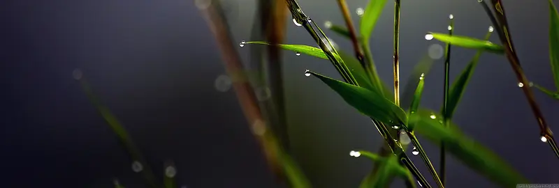 banner 淘宝 天猫 背景