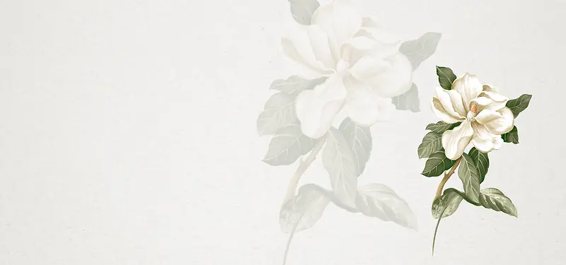 素白花朵质感 纹理 清新 文艺 手绘 淘宝背景
