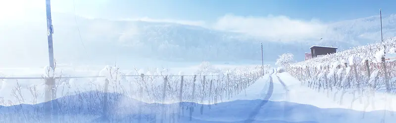 梦幻雪乡背景